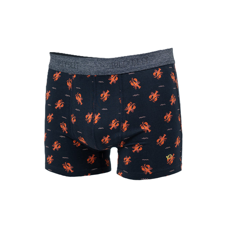 Boxer "Lobster"