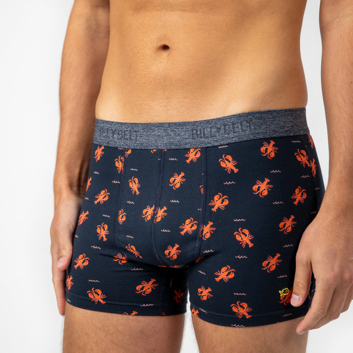 Boxer "Lobster"